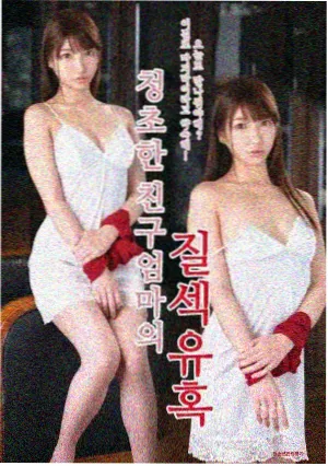 雾港档案第一季剧集封面
